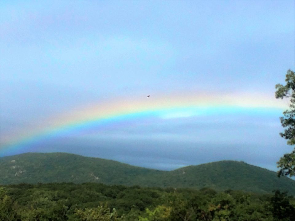 View from every room!!