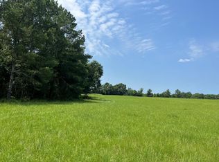 County Road 45 S, Headland, AL 36345