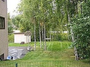 Yard