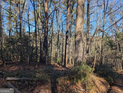 LOT J251 Pine Ridge Ct, Ellijay, GA, 30536