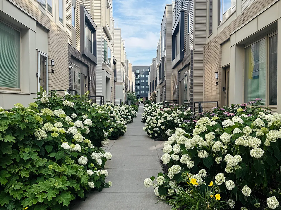 2114 Kensington Walk