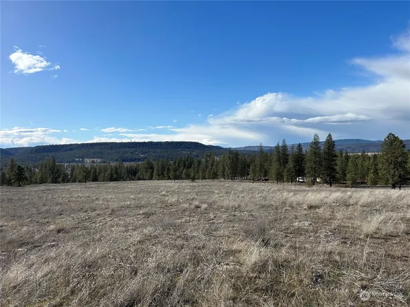 0 Thompson Lane E, Reardan, WA 99029