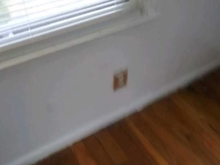 4411 Greenlawn Dr — Photo 4
