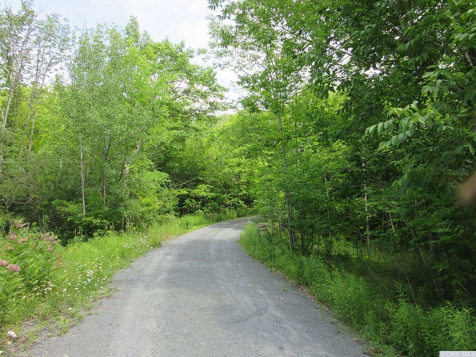 265 Barnum Rd, East Jewett, NY 12424 MLS 135305 Zillow