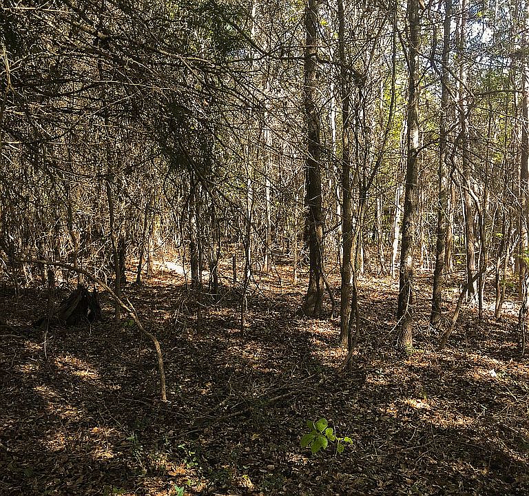 1st image of 0 County Road 3208