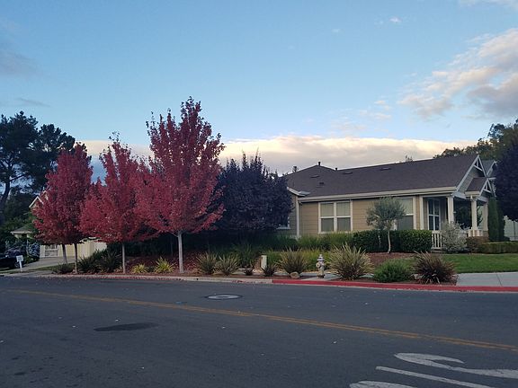 4th image of 972 Capitola Dr
