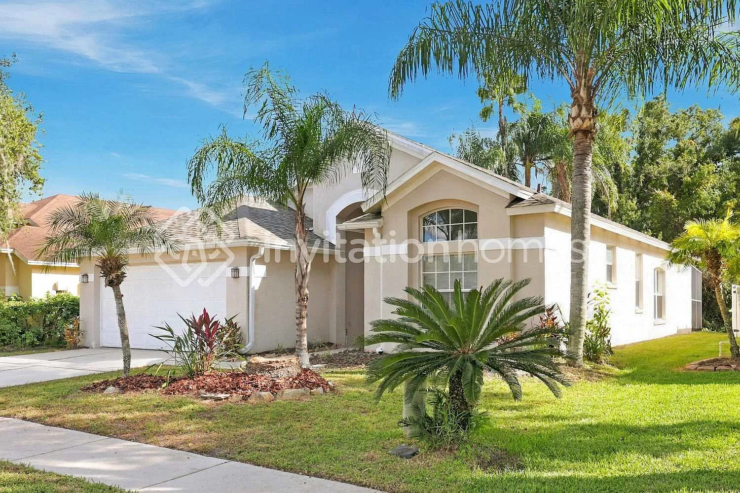 29242 Birds Eye Dr Wesley Chapel, FL 33543 — Photo 1