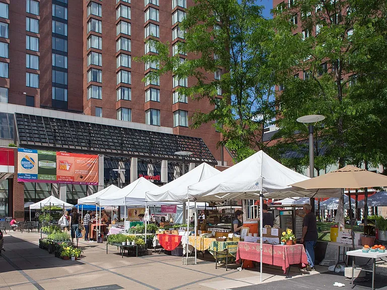 Visit the farmers market and shop the local fresh goods