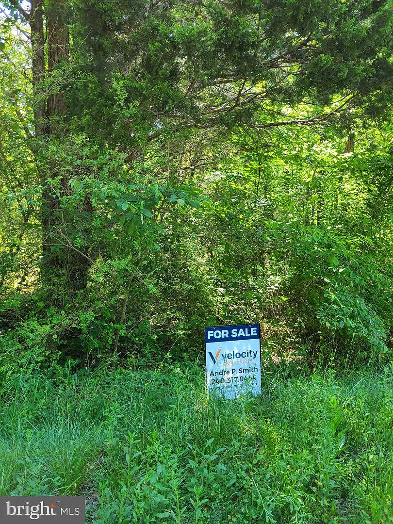 12735 Shiloh Church Rd photo 1
