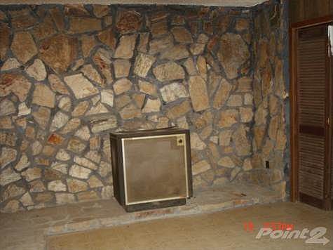 20 Tall Tree Murphy 006