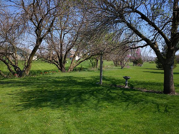 Back yard with Turtle Creek 