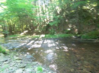 8521 Trout Run Rd, Cammal, PA 17723