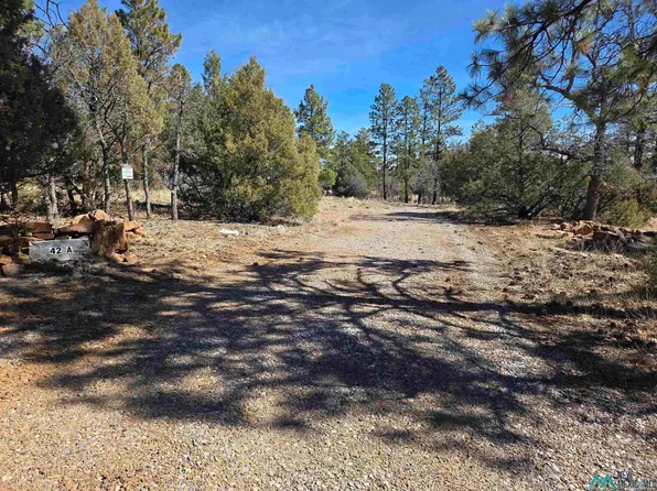 42 Buck Dr, Los Ojos, NM 87551