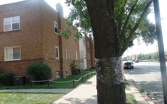 2nd image of 6433 N Kedzie Ave