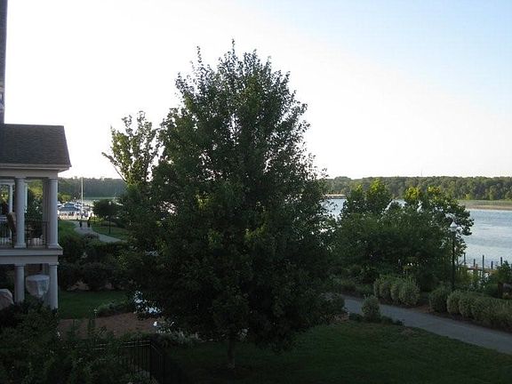 5th image of 440 Belmont Bay Dr Unit 204