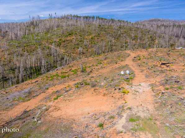 8580 Big Canyon Loop Rd, Grizzly Flats, CA 95636