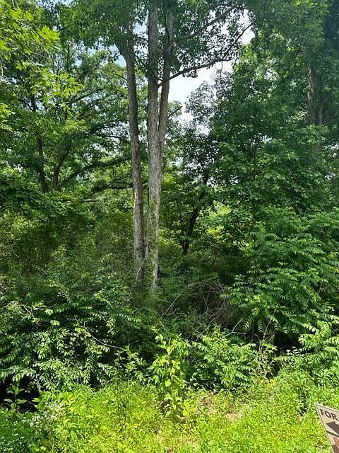 2nd image of 6808 Grasshopper Rd