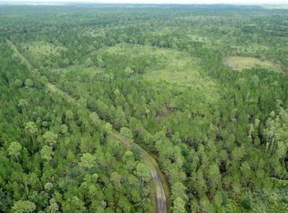 42414 Maggie Jones Rd, Paisley, FL 32767