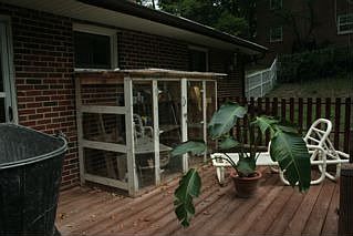 Green house on back deck