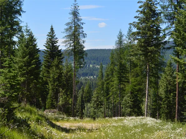 Nhn Logan Creek Rd, Whitefish, MT 59937