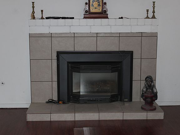 gas insert in livingroom
