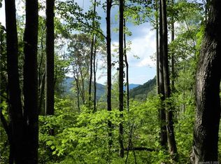 99999 Pegg Rd, Barnardsville, NC 28709