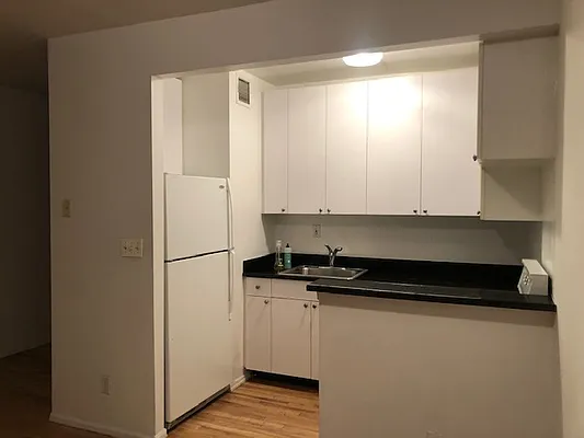 Rented by Tompkins Square Realty | media 19