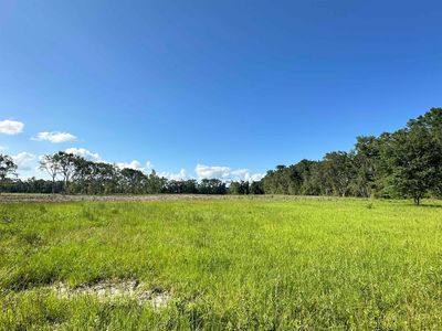 LOT NE Tarragon St #A, Pinetta, FL, 32350