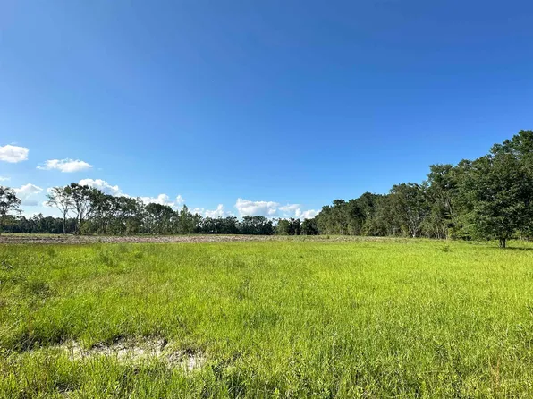 LOT NE Tarragon St #A, Pinetta, FL 32350