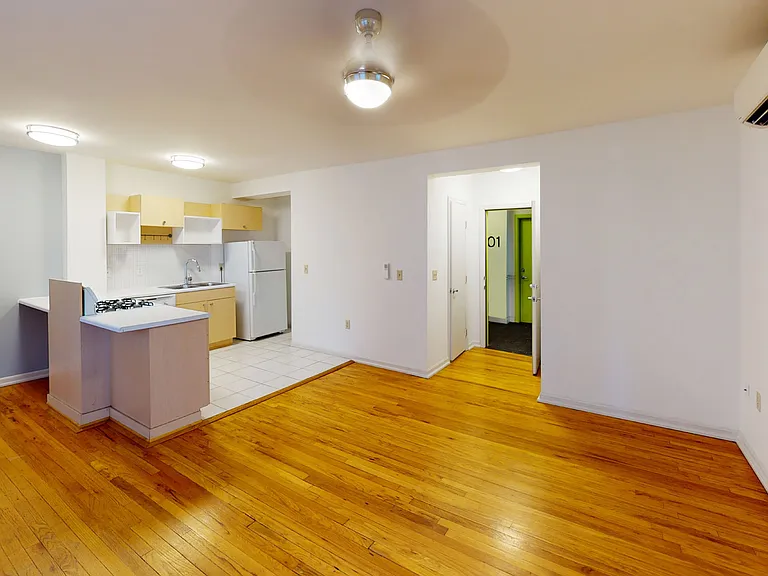 Dining/Living room