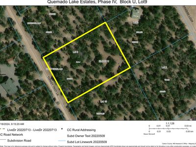 U 9 Turkey Trot, Quemado, NM, 87829