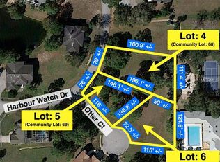 2104 Otter Ct, Tarpon Springs, FL 34689