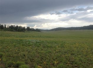 Dog Chief Trl, Hartsel, CO 80449