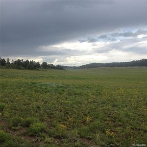 Dog Chief Trail, Hartsel, CO, 80449