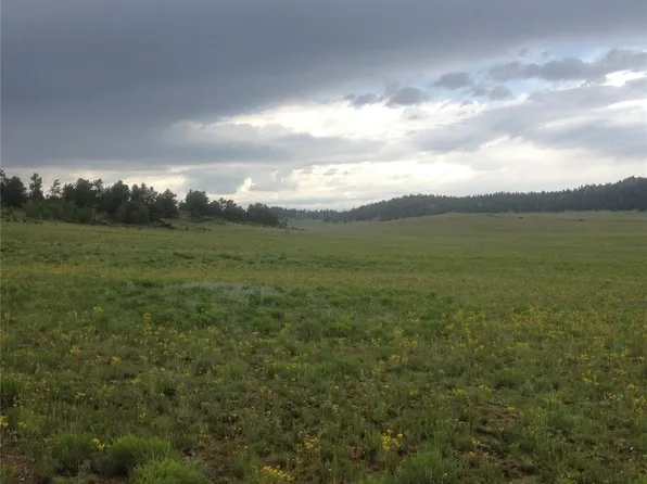 Dog Chief Trail, Hartsel, CO 80449