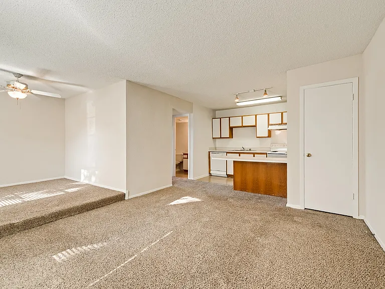 Addison Apartments at the Park — Photo 15