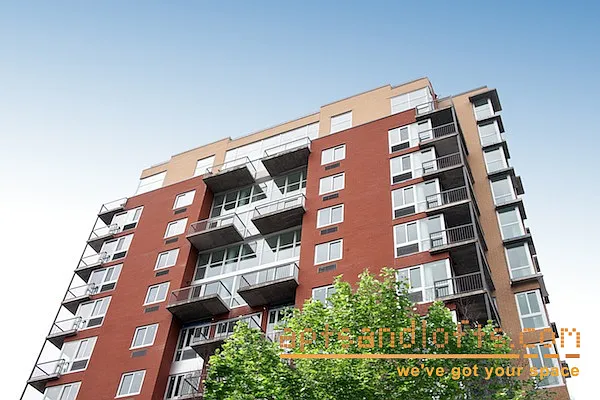 Rented by aptsandlofts.com | media 52