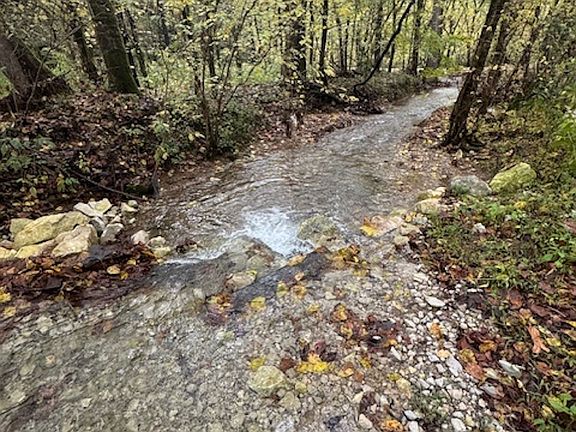 5th image of McBroom Branch Rd Lot Wp001