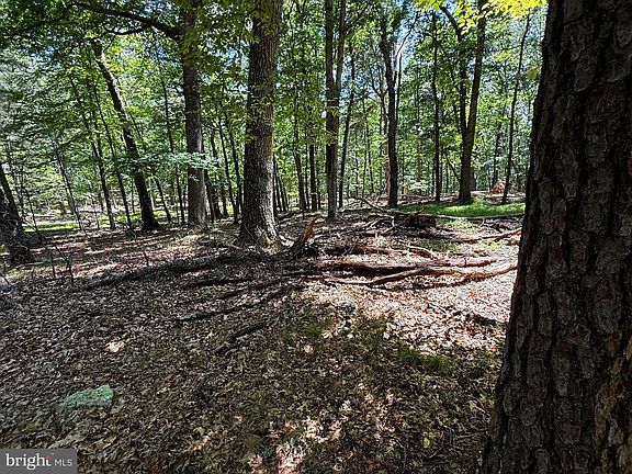 2nd image of Sub Parcels Of Boonedock Dr Lt 27 & 28