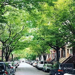 Rented by Bond New York