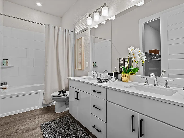 B1-Paloma-Bathroom Soaking Tub/shower B1-Paloma-Bathroom Soaking Tub/shower