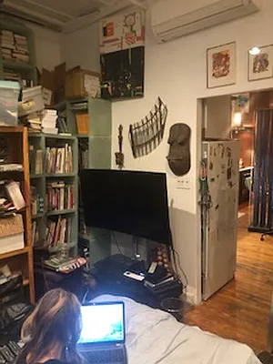 Rented by Ian Shapolsky Real Estate | media 30