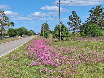 SE 60th St Lot 1, Morriston, FL, 32668