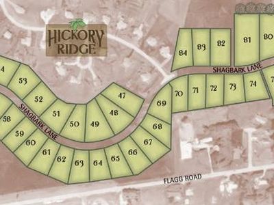 LOT 50 E Shagbark Ln Lot 50, Rochelle, IL, 61068
