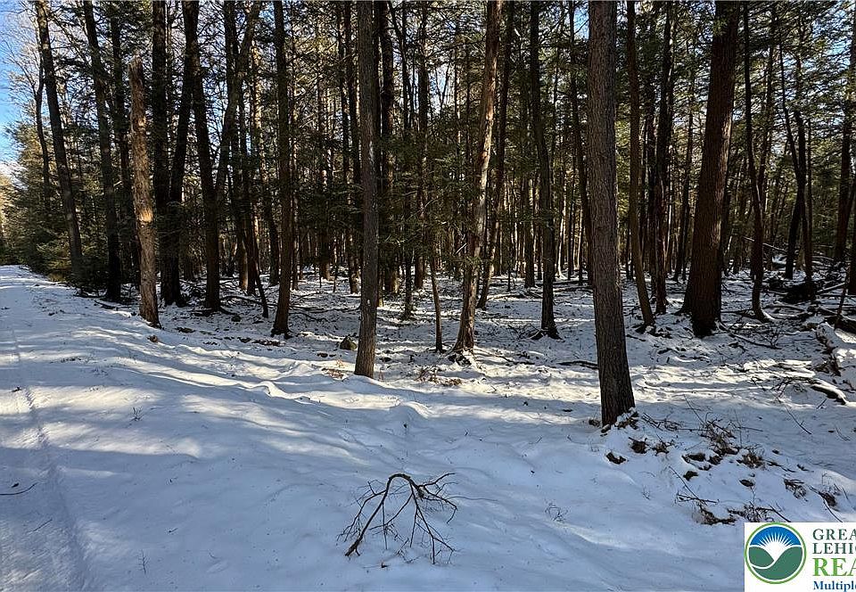 2nd image of Treetop Ln