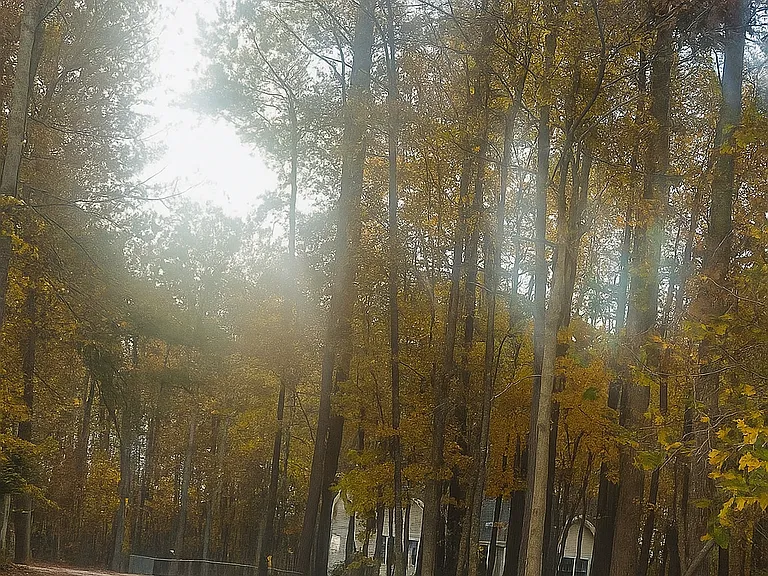 From the Street View at the Driveway