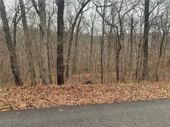 Pleasant Ridge Dr, Eureka Springs, AR 72631
