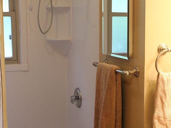 Shower/Tub Combo