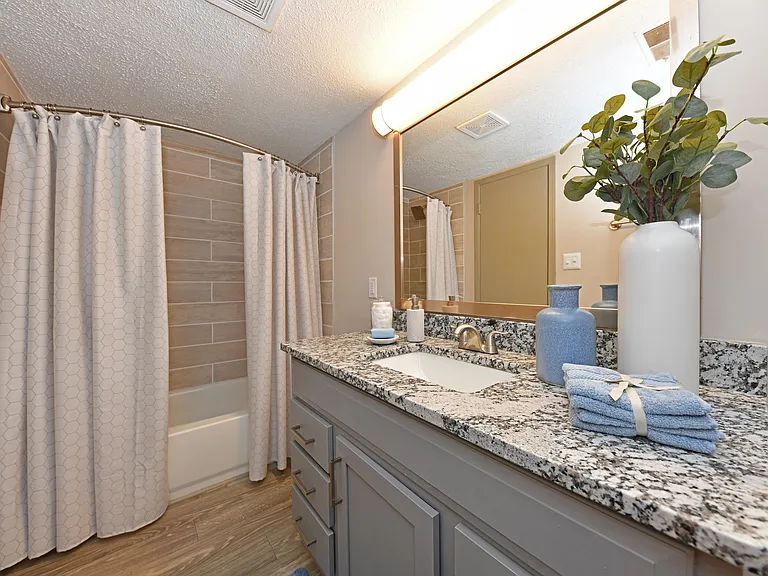 Bathroom + Granite Counters