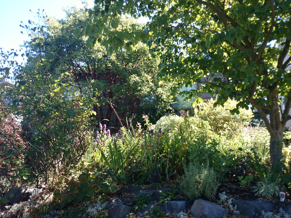 1st image of 2712 1st Ave N